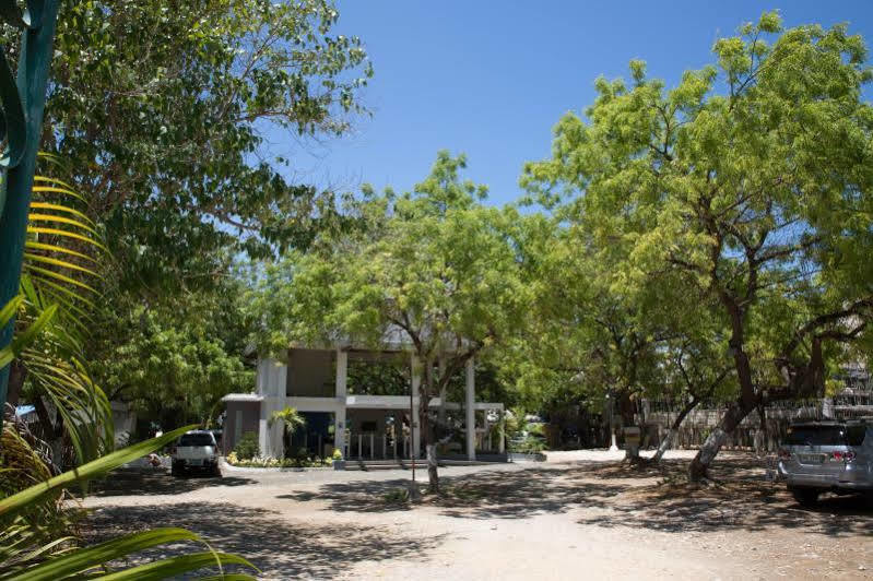 Karancho Beach House Đảo Mactan Ngoại thất bức ảnh